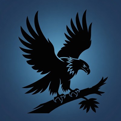 Silhouette Eagle Perched on Branch