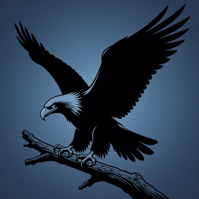 Bald eagle perched on branch