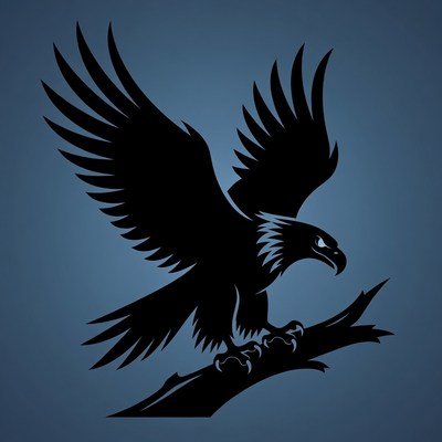 Bald eagle perched on branch silhouette