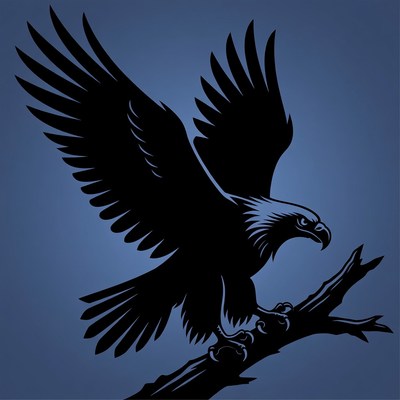 Bald eagle perched on branch