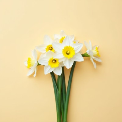 Daffodil bouquet on yellow background