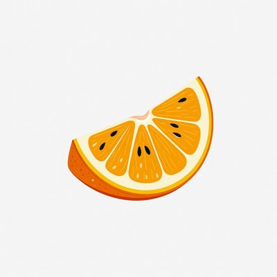 Orange Slice Illustration