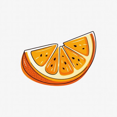 Sliced Orange Illustration