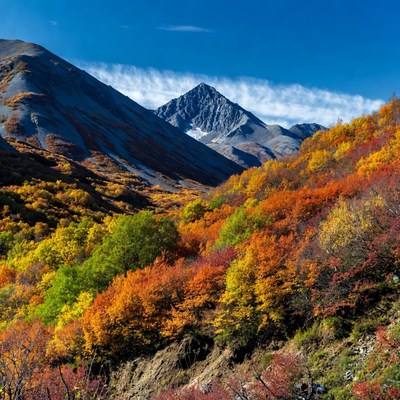 Autumn Mountains with Snow-Capped Peak