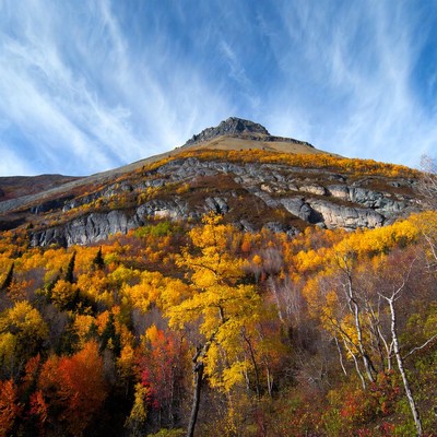 Autumn Mountain with Golden Foliage