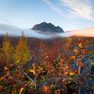 Autumn Mountain Peak with Fog
