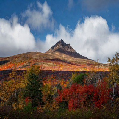 Autumn Mountain Peak with Colorful Foliage
