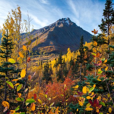 Autumn Mountain Peak with Fall Foliage