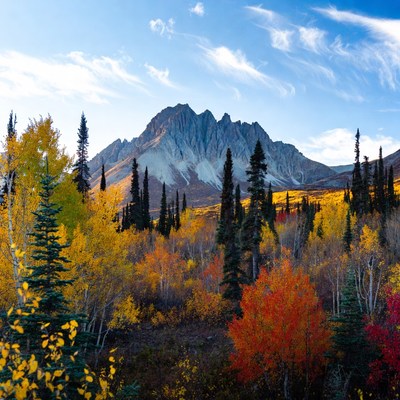 Autumn Mountains with Colorful Fall Foliage