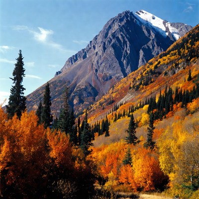 Snow-capped Mountain with Fall Foliage