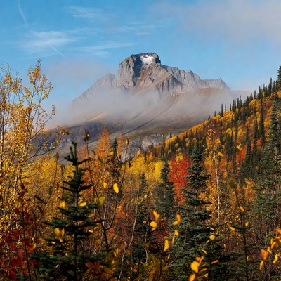 Mountain with Autumn Foliage Forest