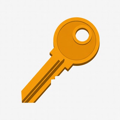 Orange Key Illustration
