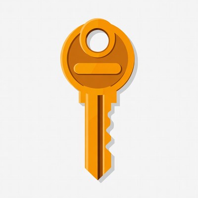 Orange Key Illustration