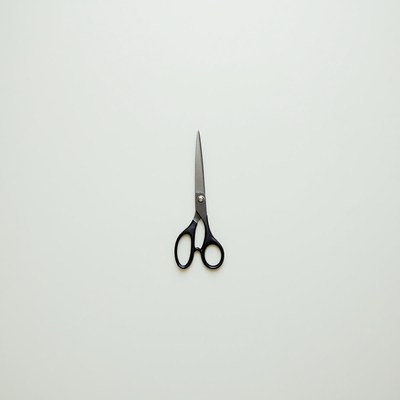 Black scissors on white background