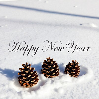 Three Pine Cones Happy New Year Snow