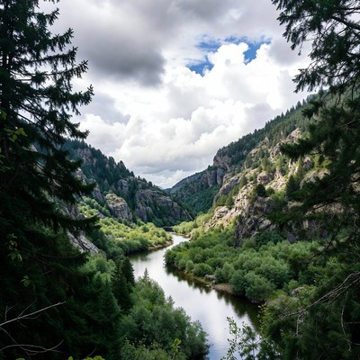 River Winding Through Forested Canyon