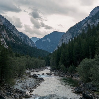 River flowing through forested mountains