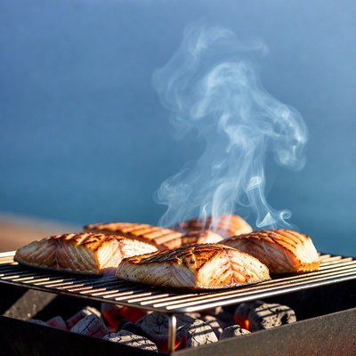 Grilled Salmon Fillets on BBQ