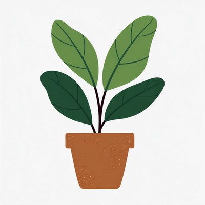 Green Plant in Terracotta Pot