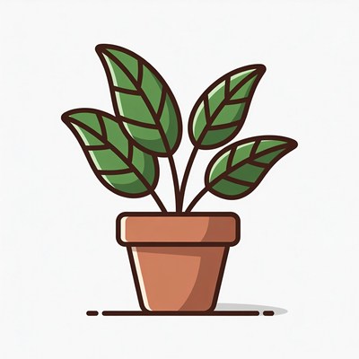 Green Plant in Terracotta Pot