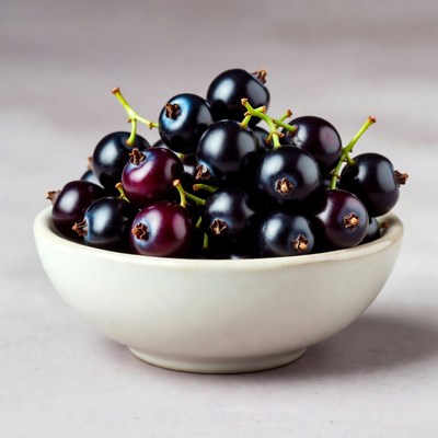 Fresh Black Currants in White Bowl