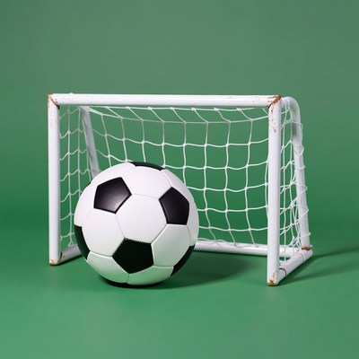 Soccer Ball in Front of Goal