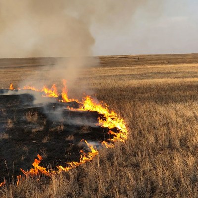 Grassland wildfire burning dry field