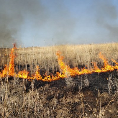 Grassland wildfire burning dry field