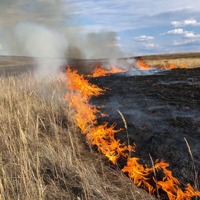 Grassland wildfire burning dry field