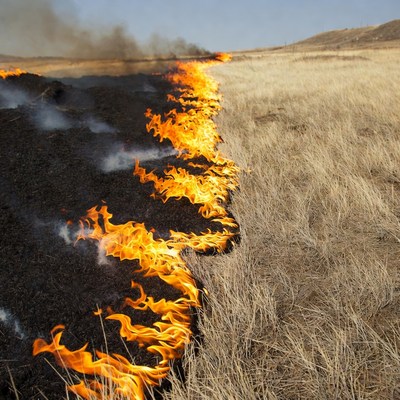 Grassland wildfire burning through dry field