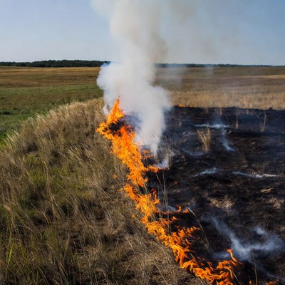 Grass fire burning in field