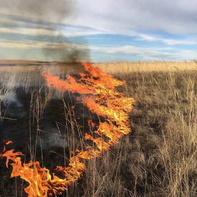 Grass Field Burning with Flames