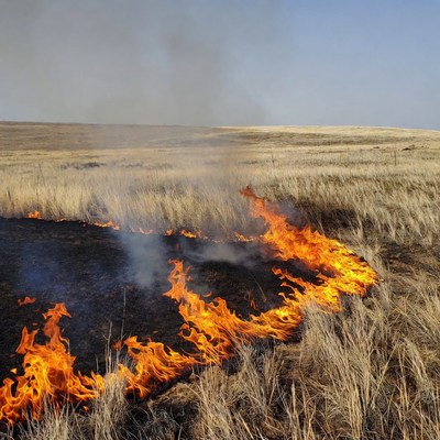 Grassland wildfire burning dry field