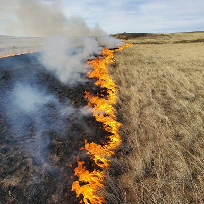 Grassland wildfire burning through dry field