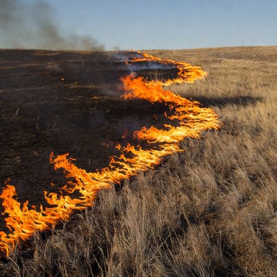 Grassland wildfire burning through dry field