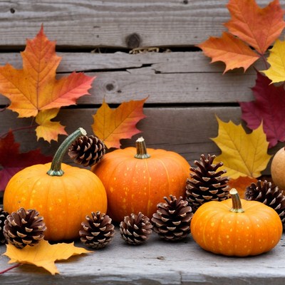 Pumpkins and Pinecones with Autumn Leaves
