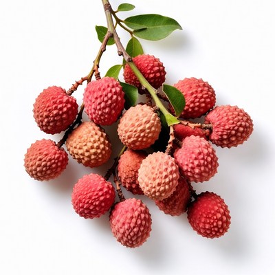 Fresh lychee fruits on branch