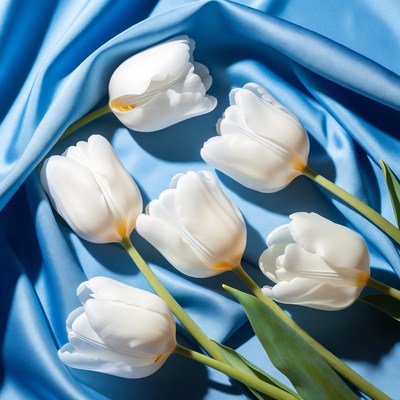 White tulips on blue satin fabric