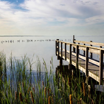 Wooden pier extending over marsh water