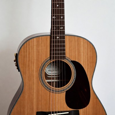 Acoustic Guitar with Pickup