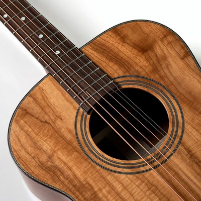 Koala Acoustic Guitar Closeup