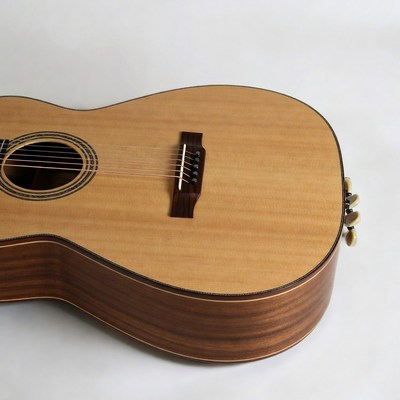 Acoustic Guitar on White Background