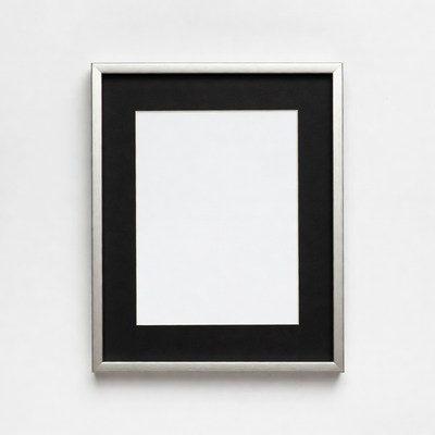 Silver Framed Picture with Black Mat