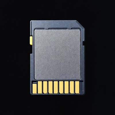 SD Memory Card Isolated