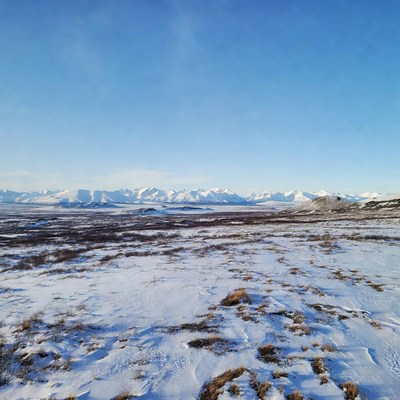 Snowy Mountains and Tundra Landscape