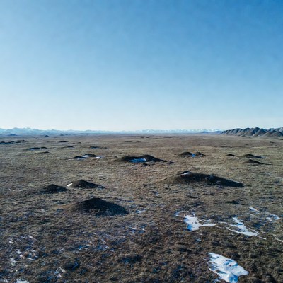 Snowy anthills in vast steppe landscape
