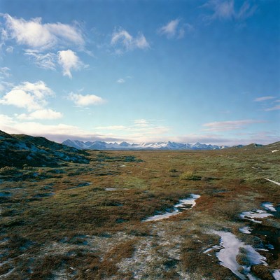 Snowy Mountains and Tundra Landscape
