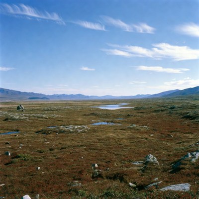 Scenic tundra landscape with river