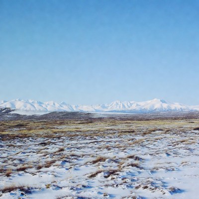 Snowy Mountains Over Frosty Tundra