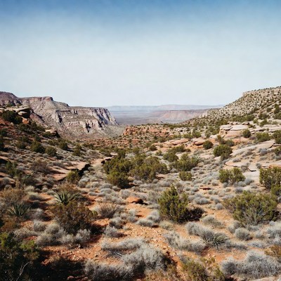 Grand Canyon red rock landscape